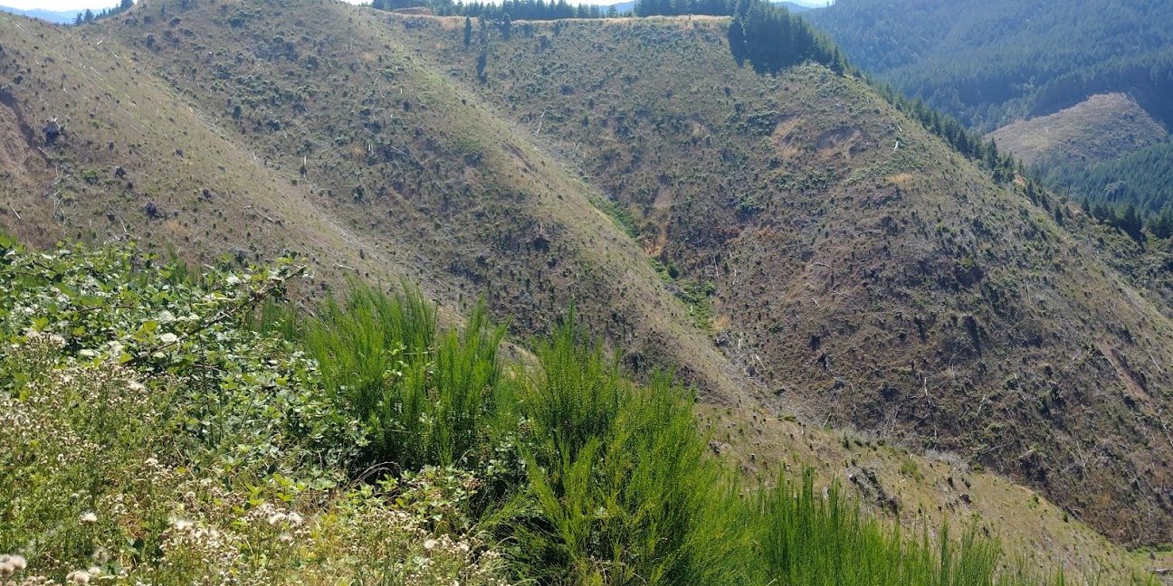 Small slope failures
